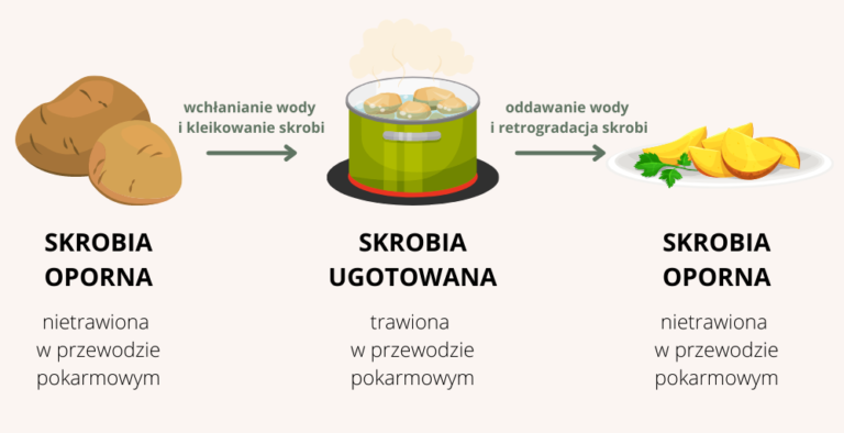 Skrobia_oporna_mechanizm_ziemniaki